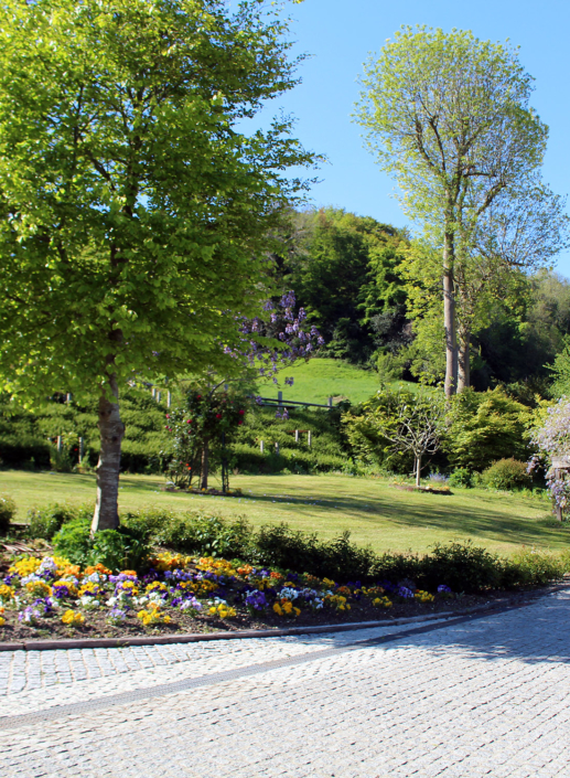 Tree park - Domaine du Clos Fleuri