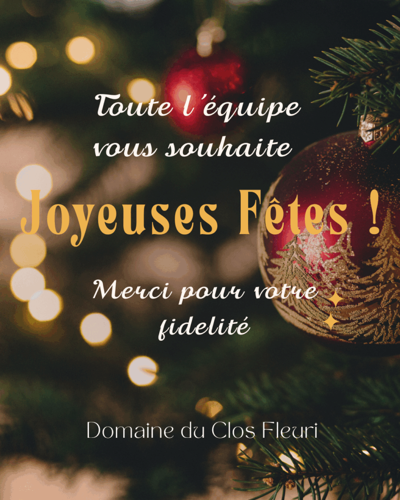 Publication Instagram Joyeux Noël Photo Simple