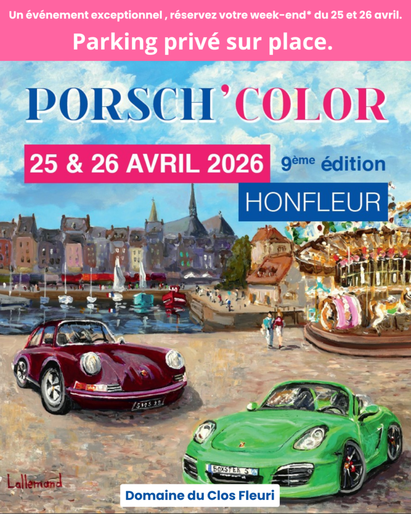 Voiture Professionnel DCF (1)